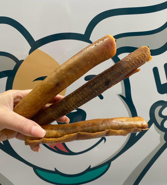 Top Raw Leeds Nourishing Pets with Premium Raw Food